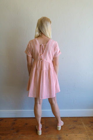 Rose Stripe Mini Dress