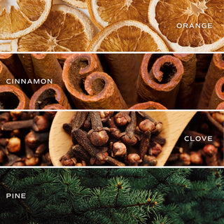 Reed Diffuser | Warm and Cozy