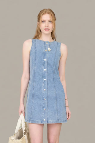 Hamptons Button Front Denim Dress