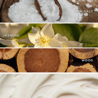 Reed Diffuser | Spa Day