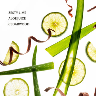 Power Mist Hand Sanitizer | Aloe You