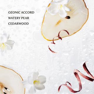 Power Mist Hand Sanitizer | Rainwater