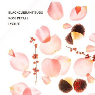 Power Mist Hand Sanitizer | Rosewater