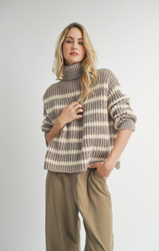 Aki Turtleneck Striped Sweater